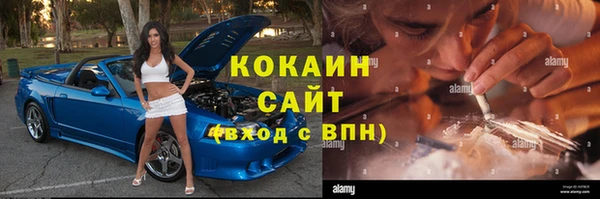 бошки Новодвинск