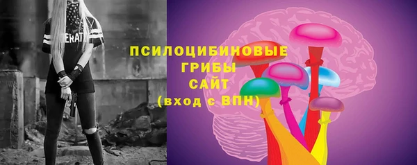 бошки Новодвинск