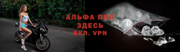 spice Новозыбков