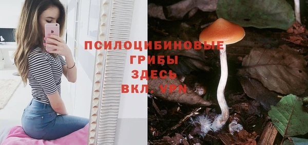spice Новозыбков