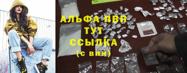 бошки Новодвинск