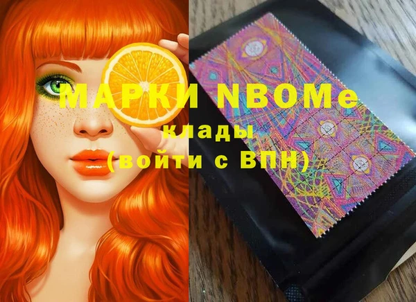 бошки Новодвинск