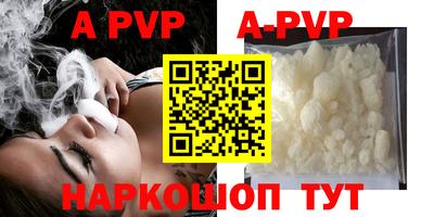 дживик Кингисепп