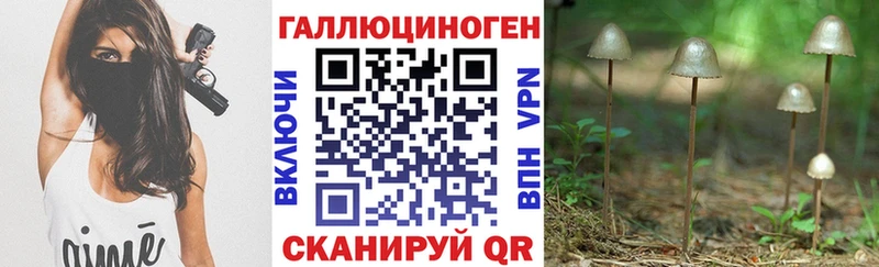 Галлюциногенные грибы Cubensis гидра как зайти Нурлат